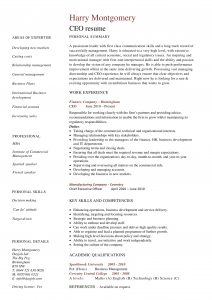 24 Award Winning Ceo Resume Templates Wisestep throughout dimensions 1654 X 2339