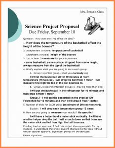 50 Best Pictures Straw Man Proposal Template Proposal Example pertaining to size 1614 X 2079