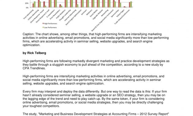 9 Accounting Firm Marketing Plan Examples Pdf regarding dimensions 1700 X 2200