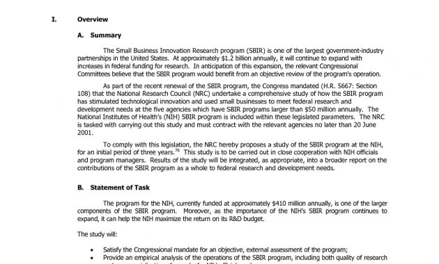 Annex B Sample Proposal An Assessment Of The Small Business throughout size 1200 X 1553
