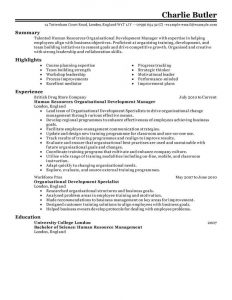 Best Organizational Development Resume Example Livecareer regarding sizing 800 X 1035