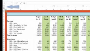 Budget Vs Actual Youtube regarding proportions 1280 X 720