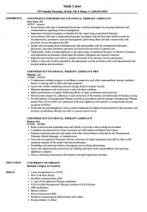 Certified Occupational Therapy Assistant Resume Samples Velvet Jobs inside size 860 X 1240