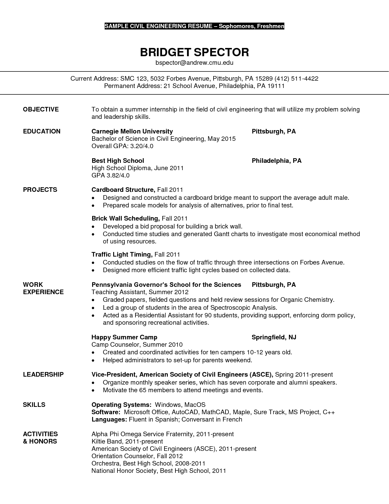 Civil Service Resume Example Civil Service Resumes Savebtsaco 1 Ww with regard to size 1275 X 1650