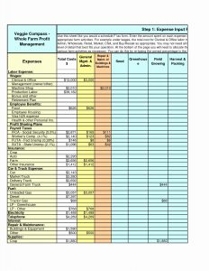 Farm Budget Template Excel Spreadsheet Collections within dimensions 1275 X 1650