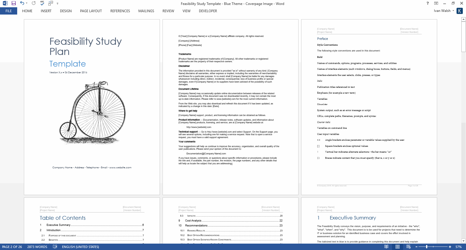 Feasibility Study Templates Ms Word Templates Forms Checklists regarding proportions 1600 X 860