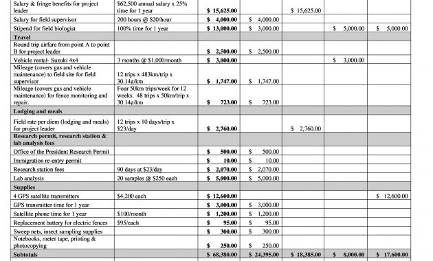 Free It Project Budget Table Example In Pdf Format Templates At with regard to sizing 3300 X 2550