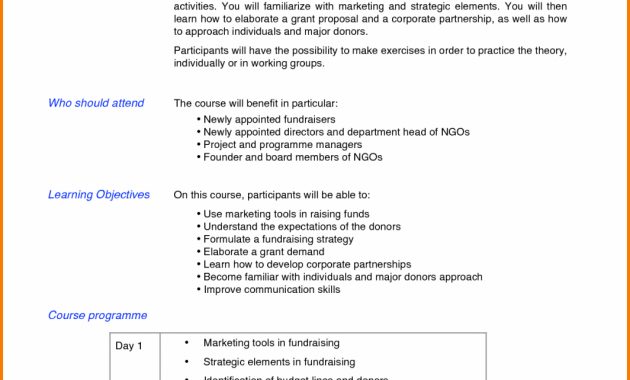 Fundraising Consultant Proposal Template pertaining to dimensions 1064 X 1501