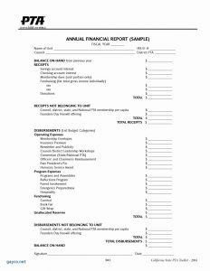 New Treasurer Report Template Non Profit Coolample Financial Valid within sizing 1024 X 1325