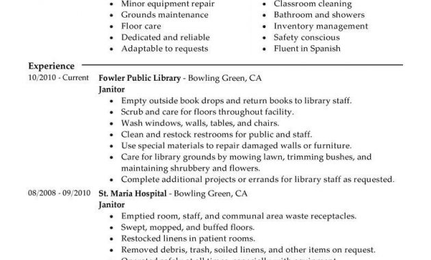 Pin Synsational On Cleaning Business Pinterest Resume Sample with sizing 800 X 1035