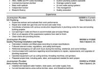 Plumber Resume Yelomdigitalsiteco in measurements 800 X 1035