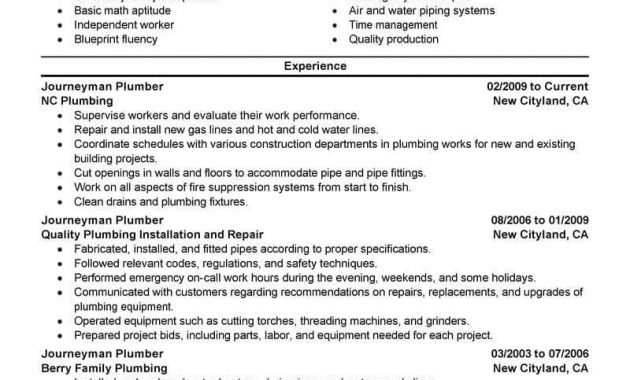 Plumber Resume Yelomdigitalsiteco in measurements 800 X 1035