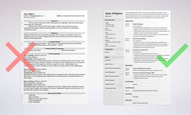 Project Manager Resume Sample Complete Guide 20 Examples pertaining to measurements 3000 X 1599