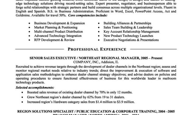 Resume Examples Executive Examples Executive Resume for size 800 X 1035