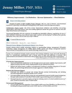 Resume Executive Level Resume 1 Resume Functional Executive Resume for dimensions 791 X 1024