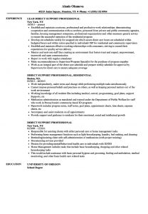 Resume Template Resume For Direct Support Professionalnt Template within measurements 860 X 1240