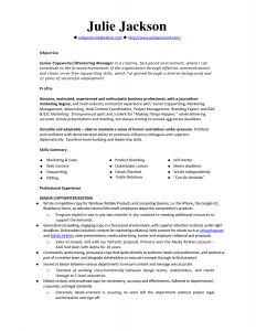 Resume Templates Monster Monster Resume Resumetemplates throughout sizing 1275 X 1650