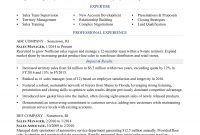 Sales Manager Resume Sample Monster inside measurements 1700 X 2200