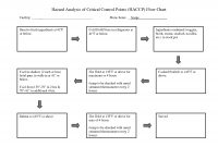 Time Chart Sample Haccp Chart Sample Hazard Analysis Critical Best for proportions 1650 X 1275