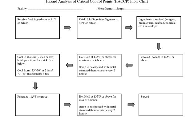 Time Chart Sample Haccp Chart Sample Hazard Analysis Critical Best for proportions 1650 X 1275