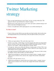 Twitter Marketing Plan Twitter Automation with dimensions 1275 X 1650