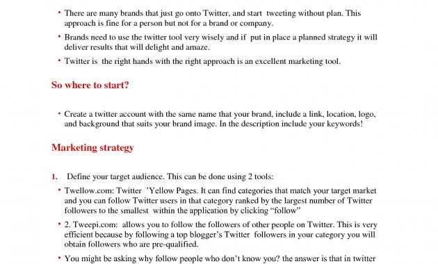 Twitter Marketing Plan Twitter Automation with dimensions 1275 X 1650