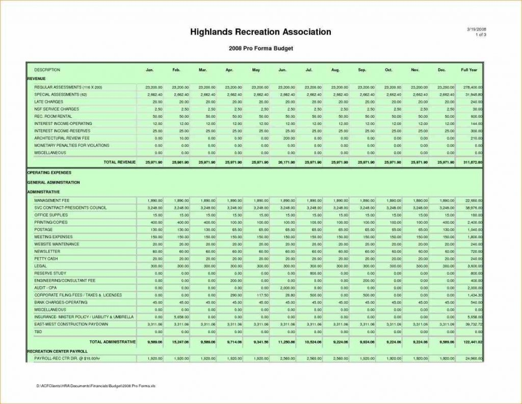 Use Pro Forma Budget Template This Pro Forma Business Budget in size 1024 X 792