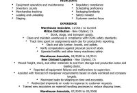 Warehouse Resume Objective Samples For Worker Executive Summary throughout proportions 800 X 1035