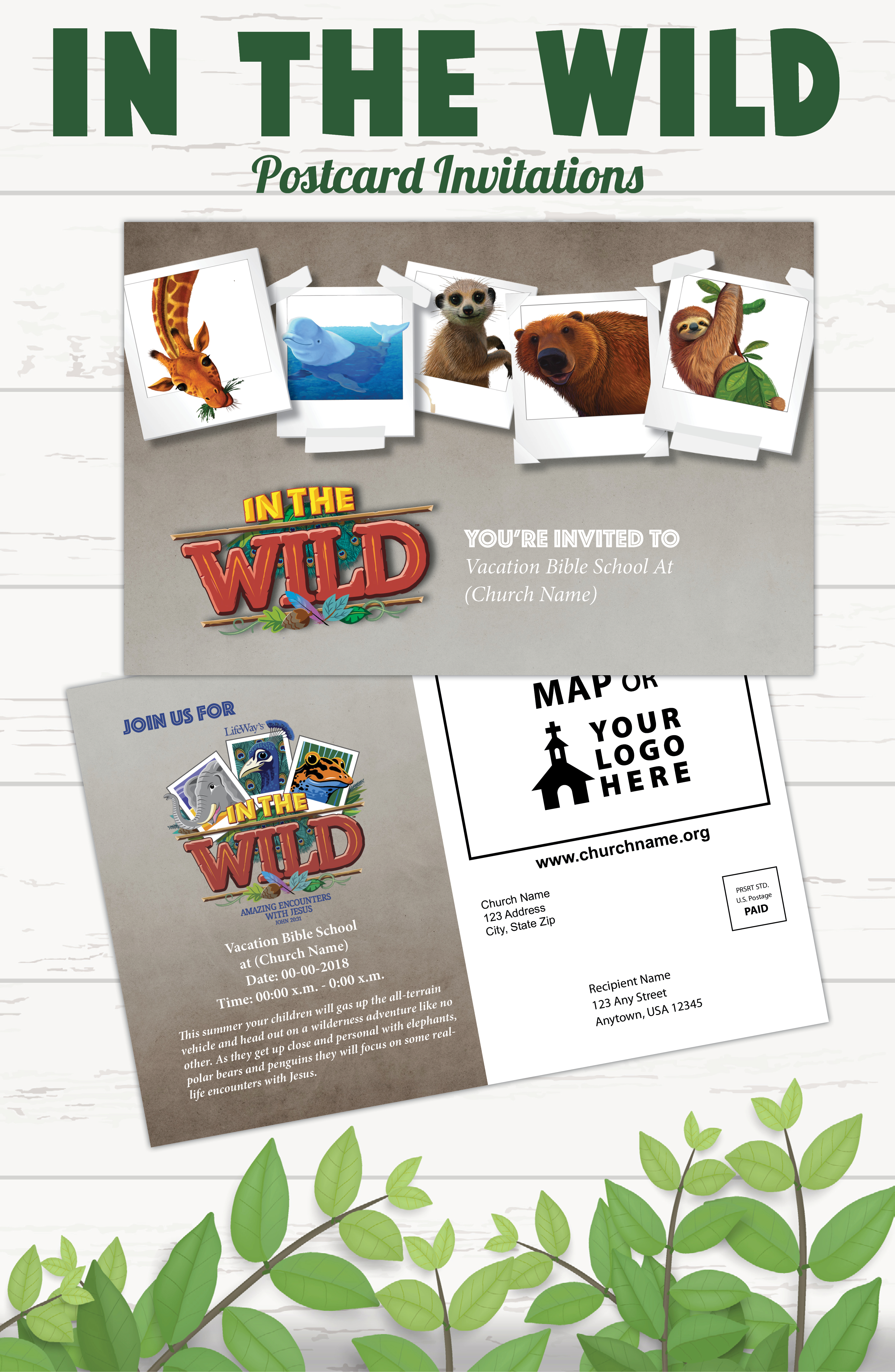 2019 In The Wild Vbs Postcard Invitations Through Lifeway Prospect throughout measurements 3322 X 5092