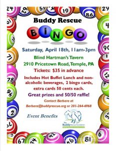 Bingo Flyer Template Google Search Bingo Flyers Bingo Night with dimensions 800 X 1035