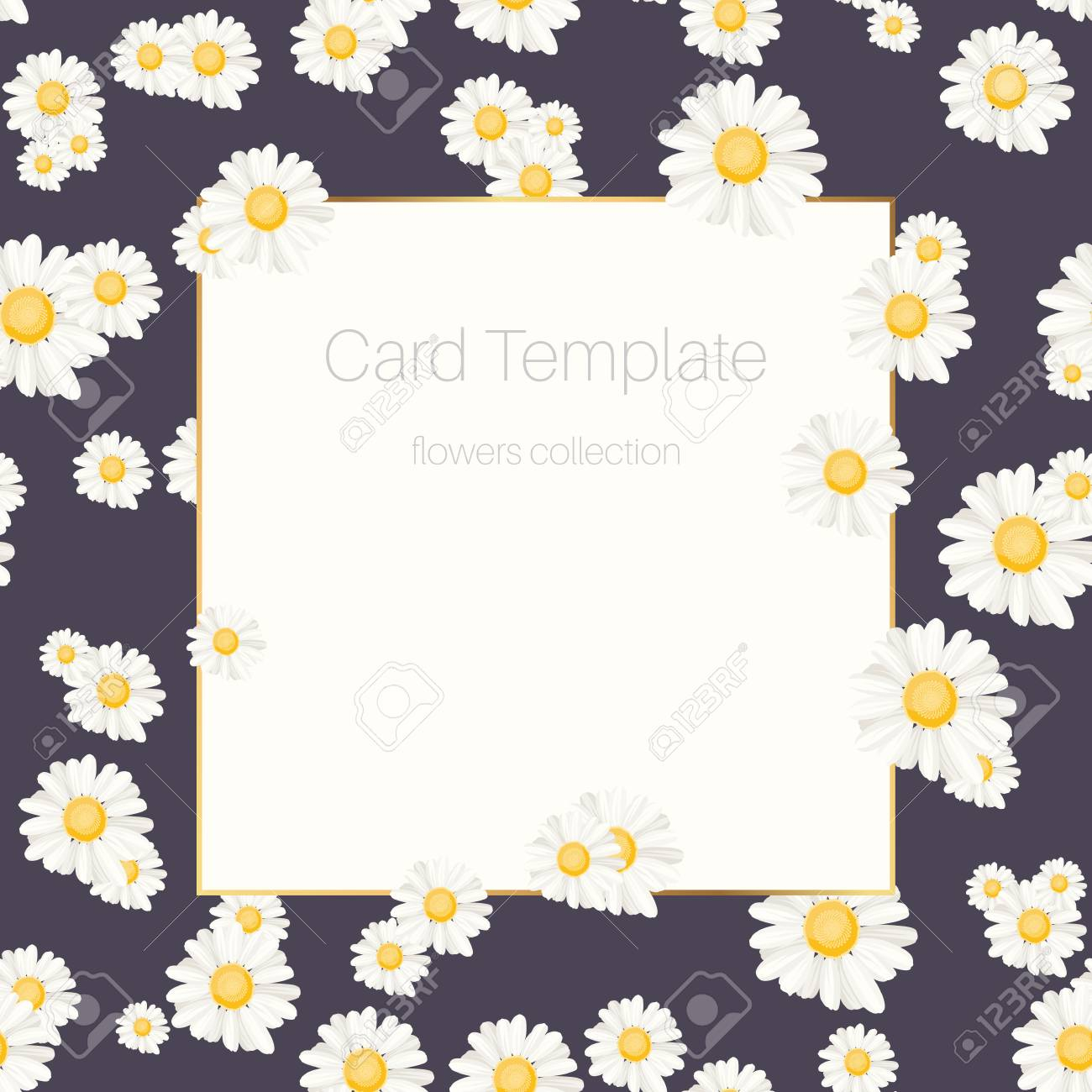 Invitation Greeting Card Template Trendy Daisy Chamomile Flowers for sizing 1300 X 1300