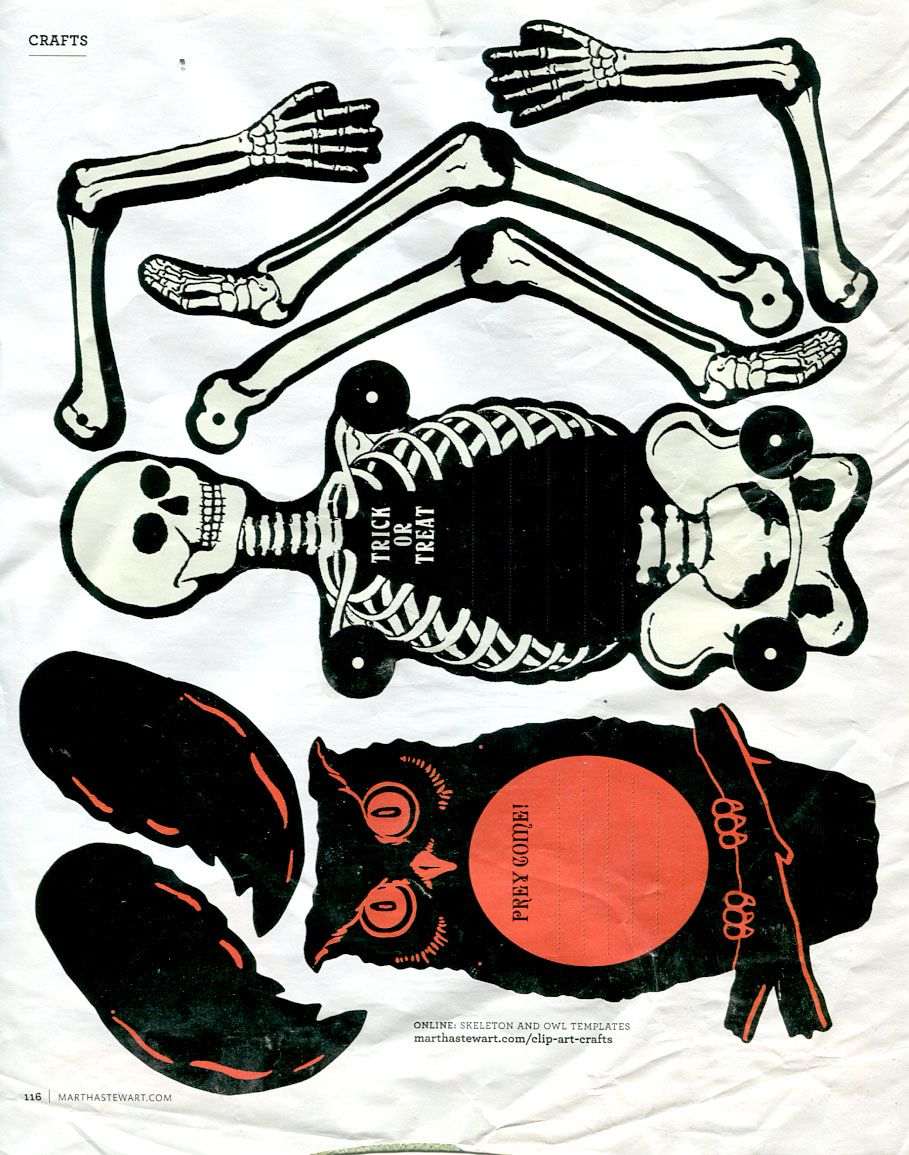 Owl And Skeleton Invitations Halloween Ephemera Vintage Graphics for dimensions 909 X 1155