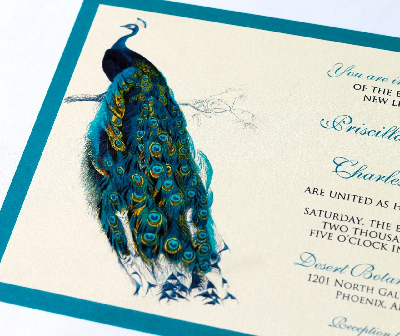 Priscilla Peacock Wedding Invitation Sample Ivory Ecru Teal in proportions 1280 X 1076